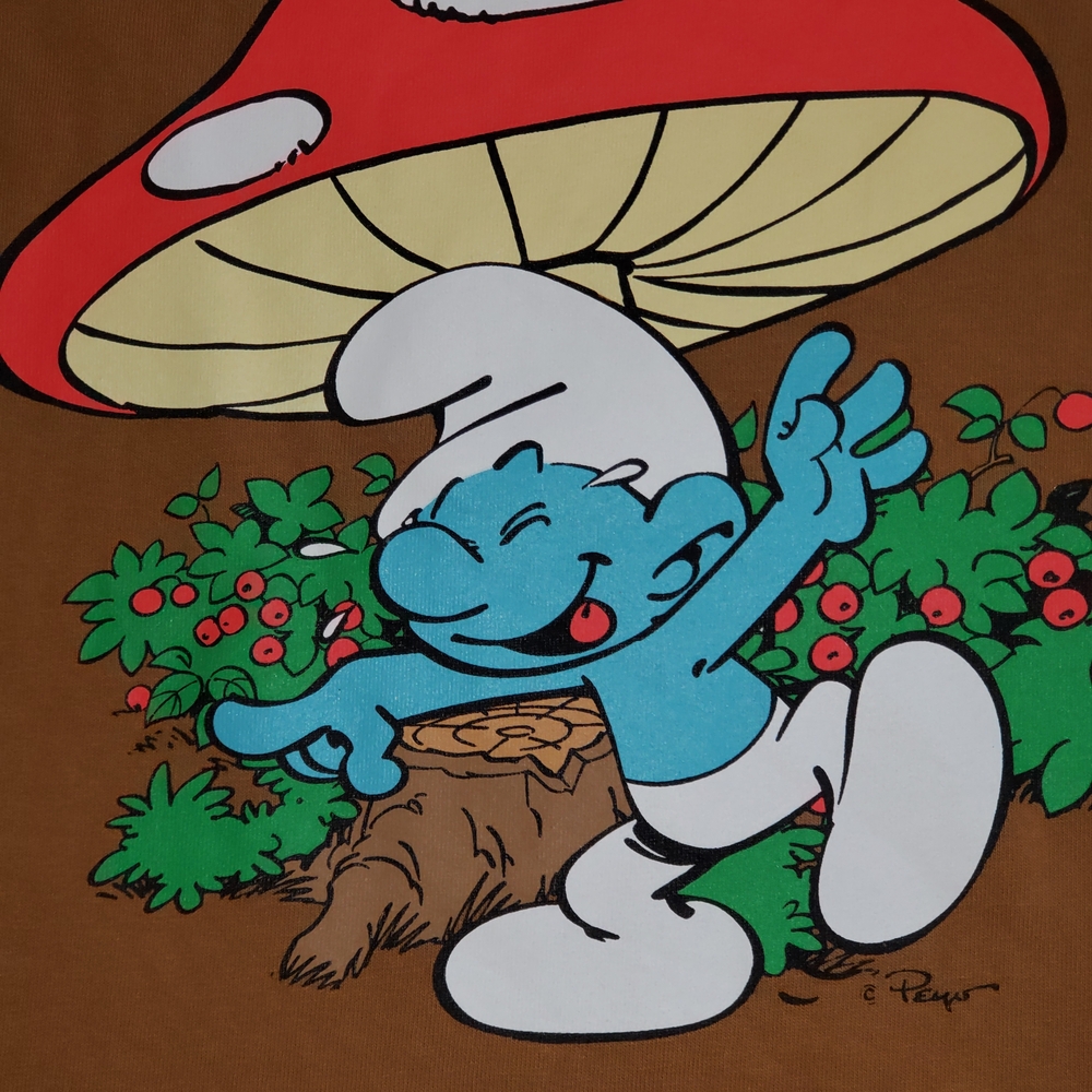 Smurf's Brown Graphic Crop Top Size L